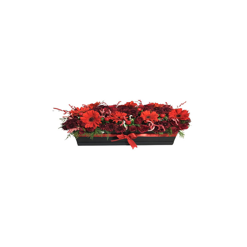 Best black long box flower in Noida, Best black long box flower in Delhi, Best black long box flower in Greater Noida