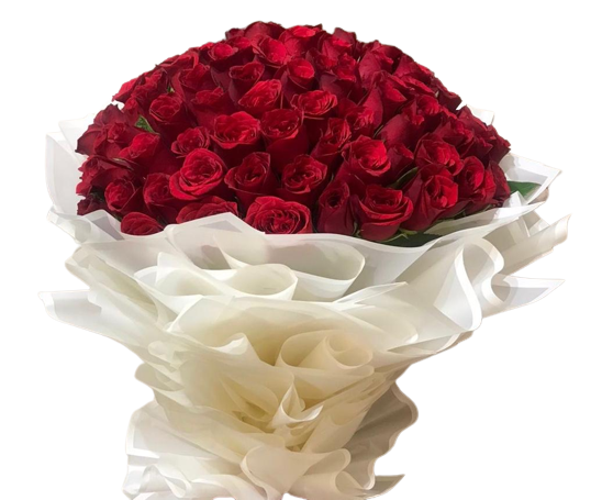 Blossom Boutique Sector 57 Noida,
Flower delivery in Sector 57 Noida,
Sector 57 Noida florist,
Fresh flower arrangements Noida,
Online flower delivery Noida,
Birthday flowers Sector 57,
Anniversary flower bouquets Noida,
Same-day flower delivery Noida,
Flower shop in Sector 57,
Noida flower delivery service





